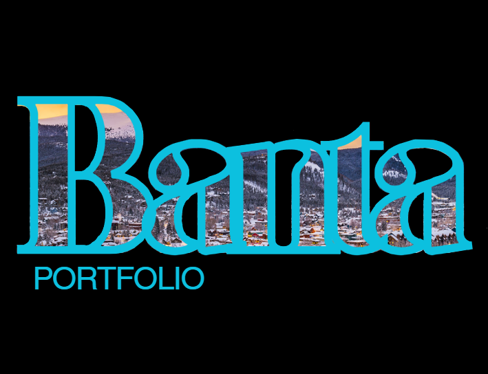 Banta Portfolio Banner