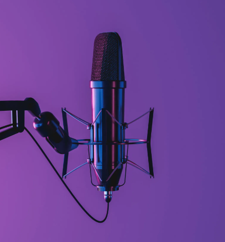 Podcast Project